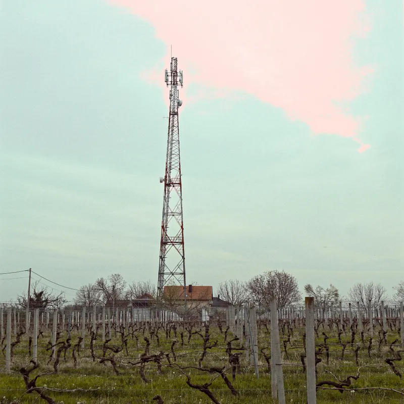 gallery image - IMG_1369.jpg