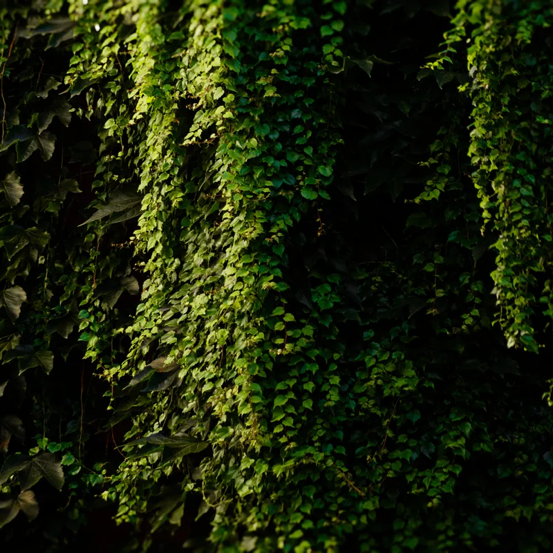 gallery image - IMG_2251.jpg