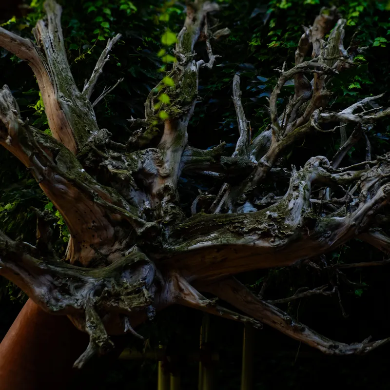 gallery image - IMG_2254.jpg