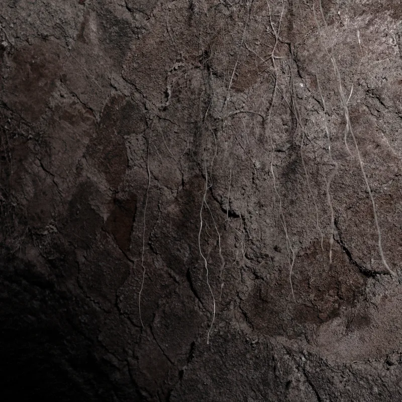 gallery image - IMG_3830.jpg