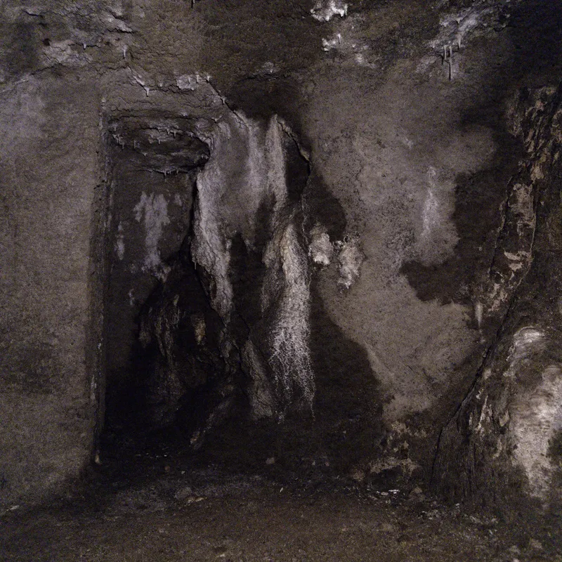 gallery image - IMG_3892.jpg