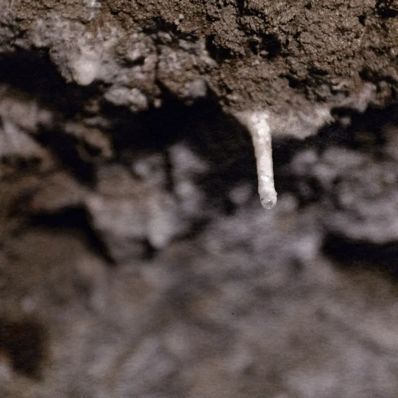 gallery image - IMG_3897.jpg