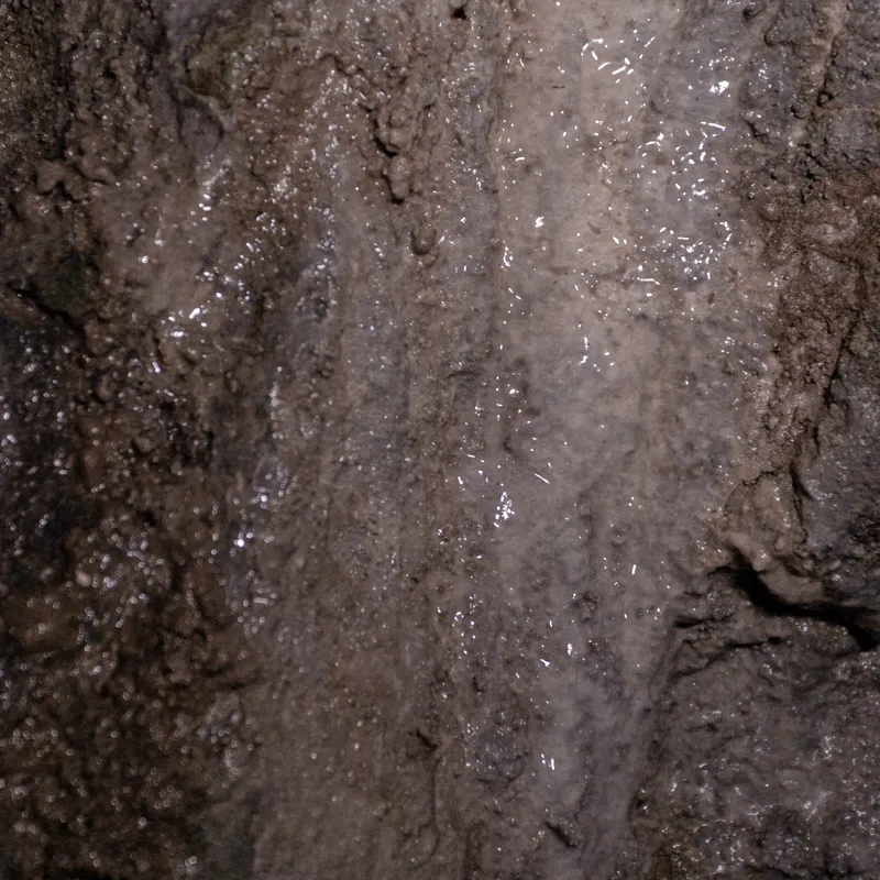 gallery image - IMG_3899.jpg