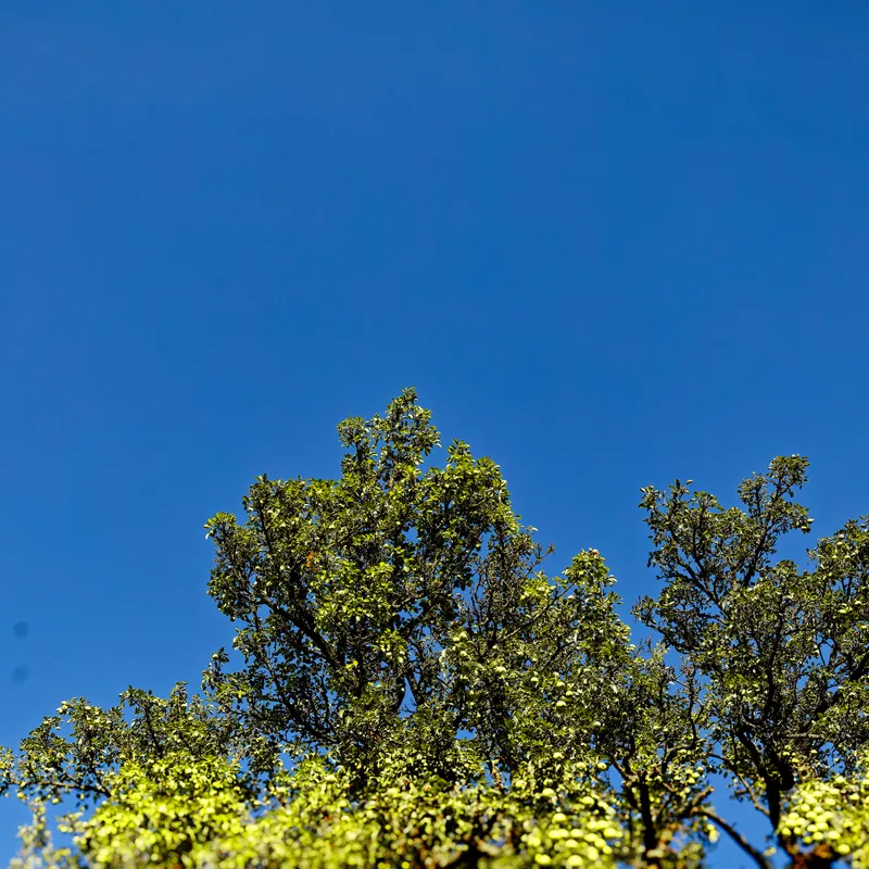 gallery image - IMG_4027.jpg