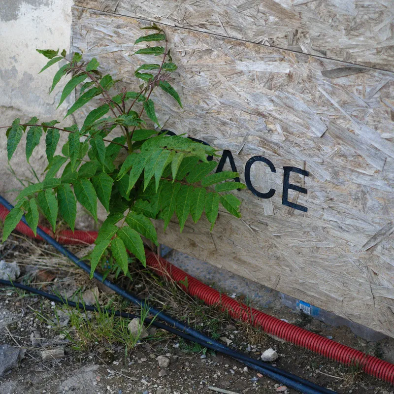 gallery image - IMG_4041.jpg