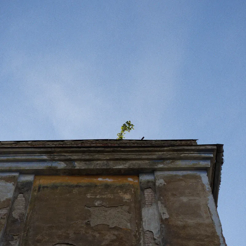 gallery image - IMG_4138.jpg