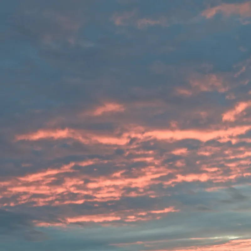 gallery image - IMG_4637.jpg