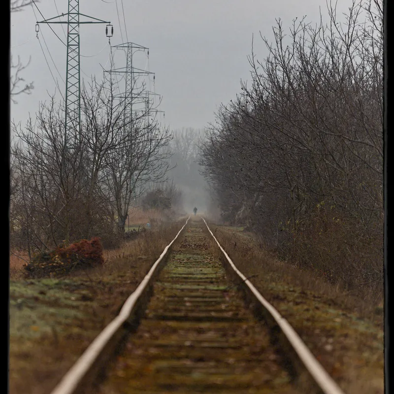 gallery image - IMG_4910.jpg