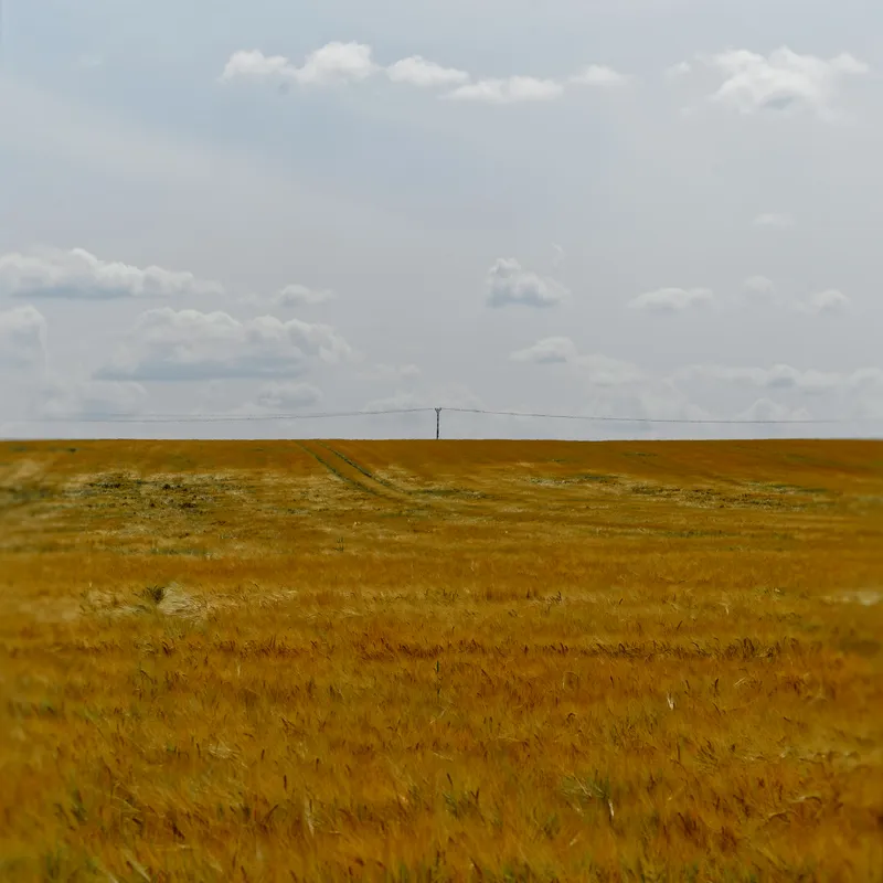 gallery image - IMG_7478.jpg