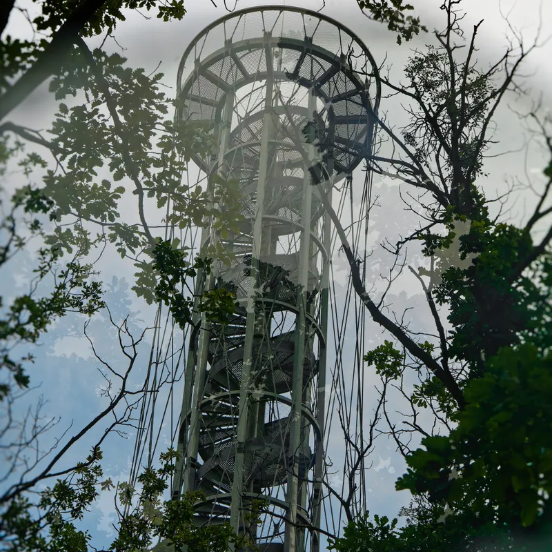 gallery image - IMG_8569.jpg