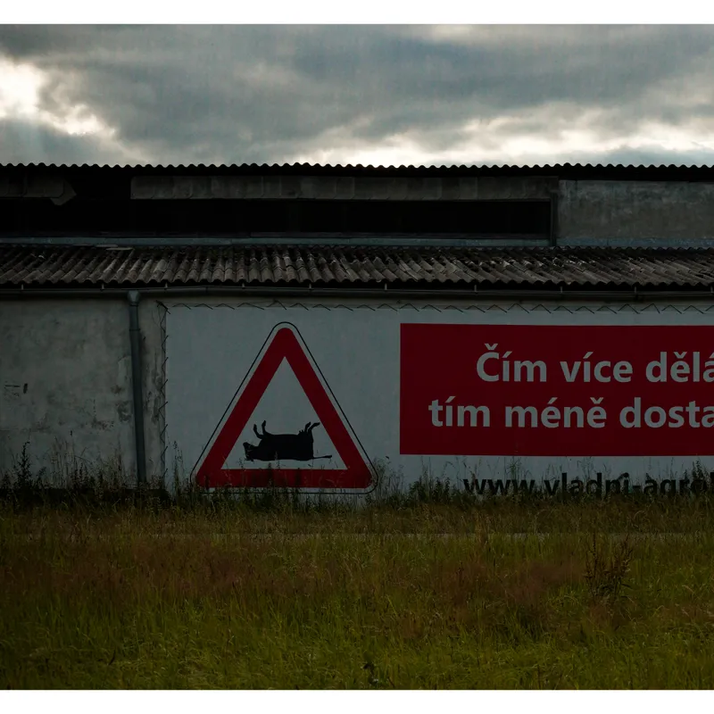 gallery image - IMG_9216.jpg