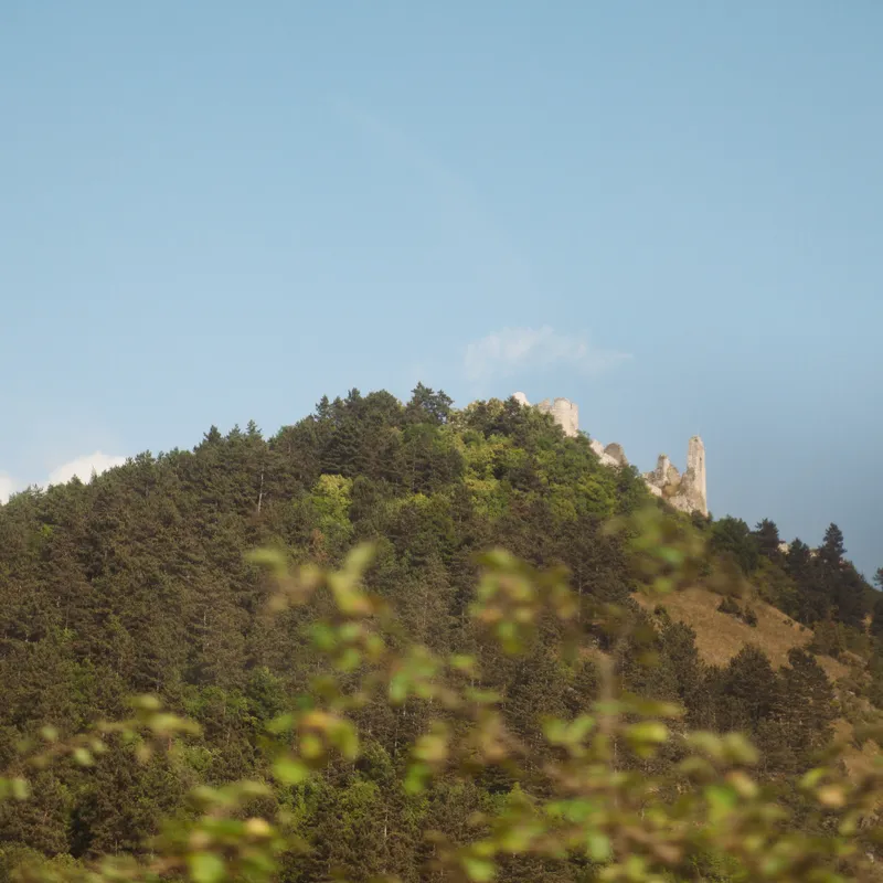 gallery image - IMG_9474.jpg