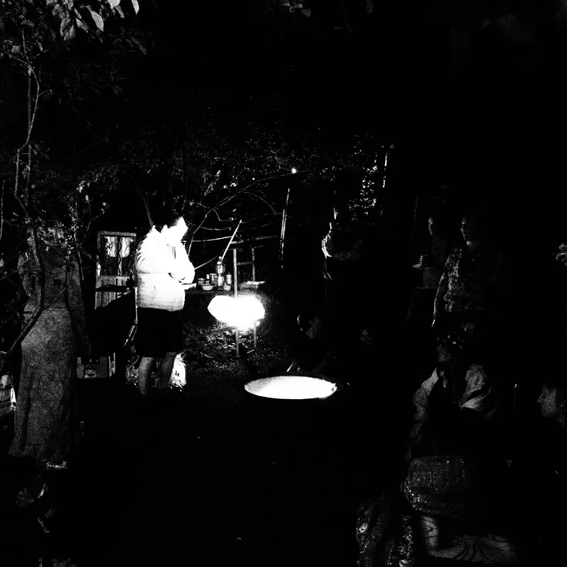 Photo 15 of 18 from Lysofest 2026