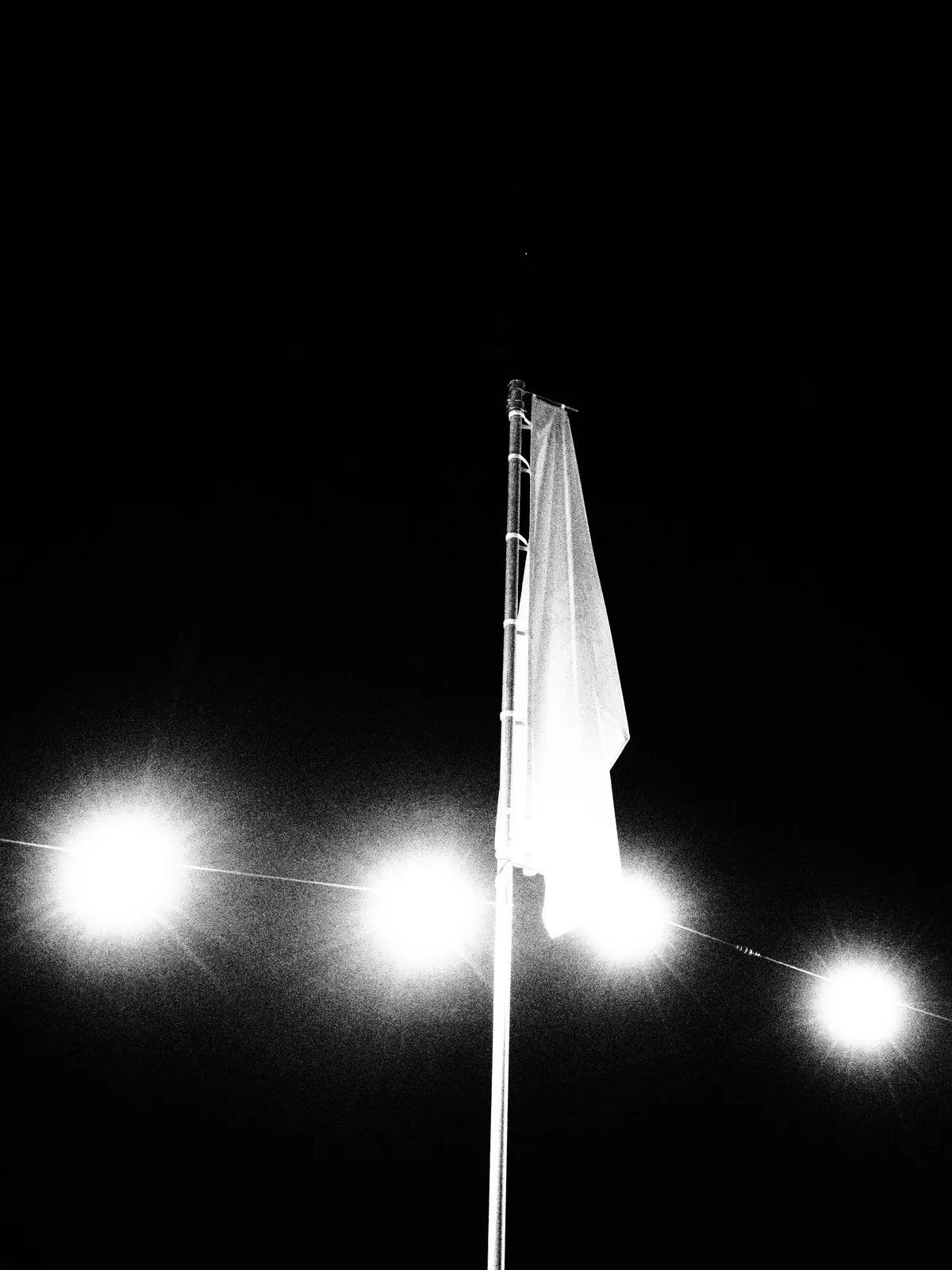 Photo 10 of 10 from Pohoda 2026, night 3 (day 4)