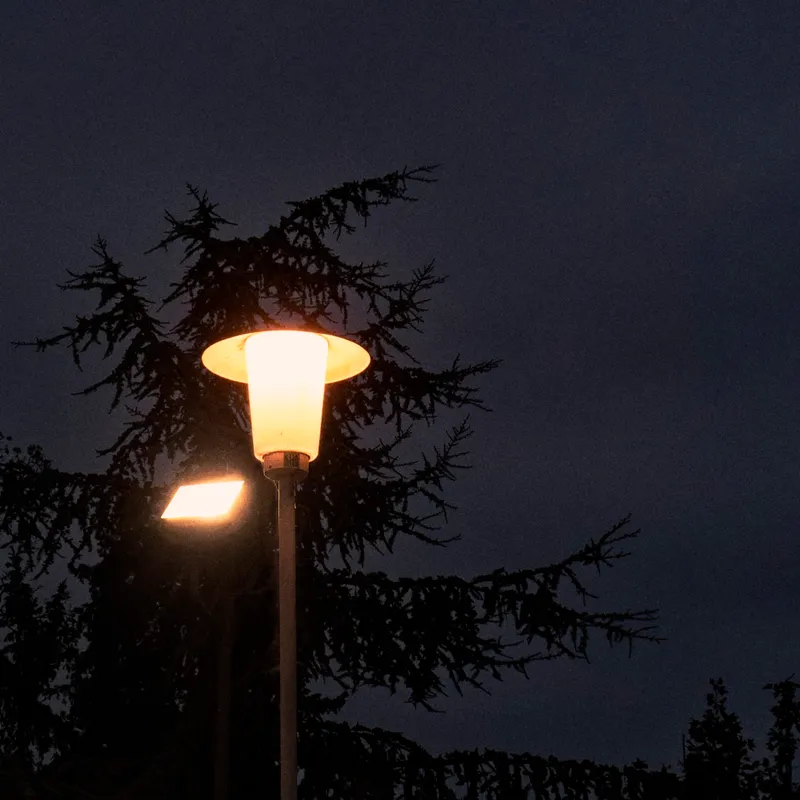 gallery image - _DSF0049.jpg