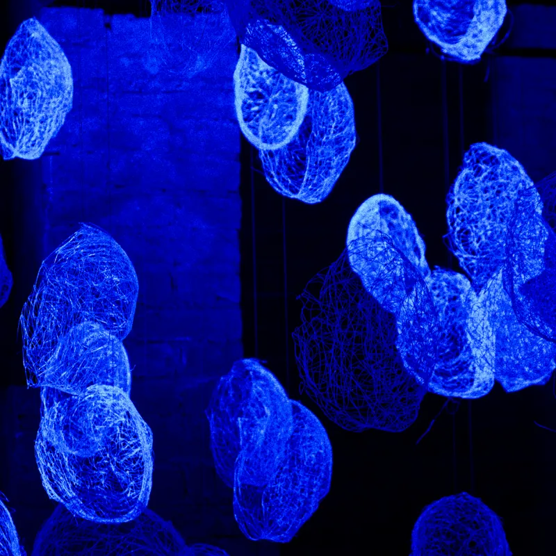 gallery image - _DSF0131.jpg