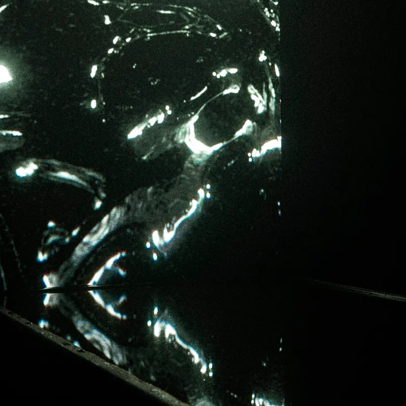 gallery image - _DSF0159.jpg