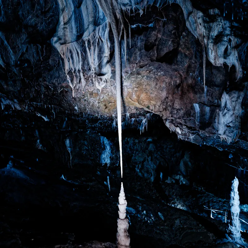 gallery image - _DSF1996.jpg