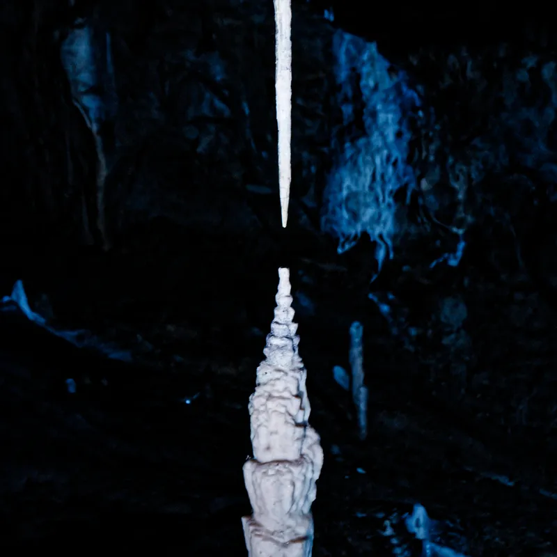 Cover of Punkva