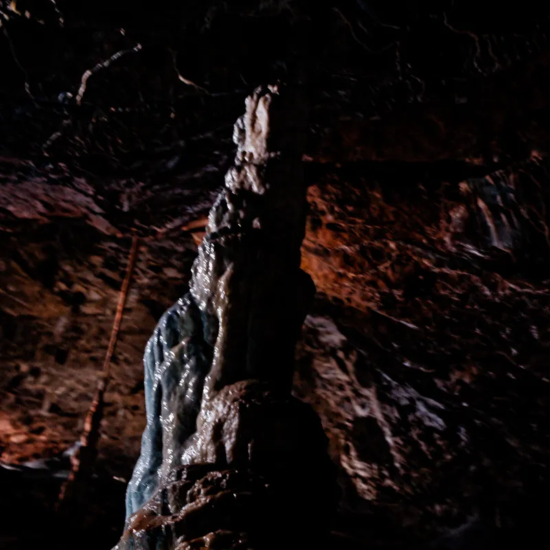 gallery image - _DSF1998.jpg