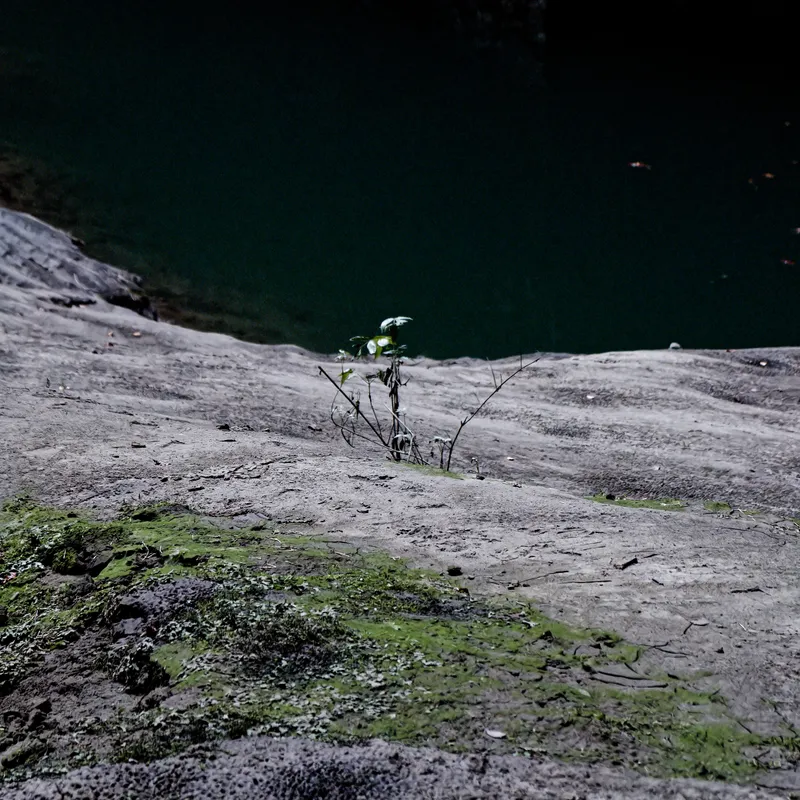 gallery image - _DSF2009.jpg