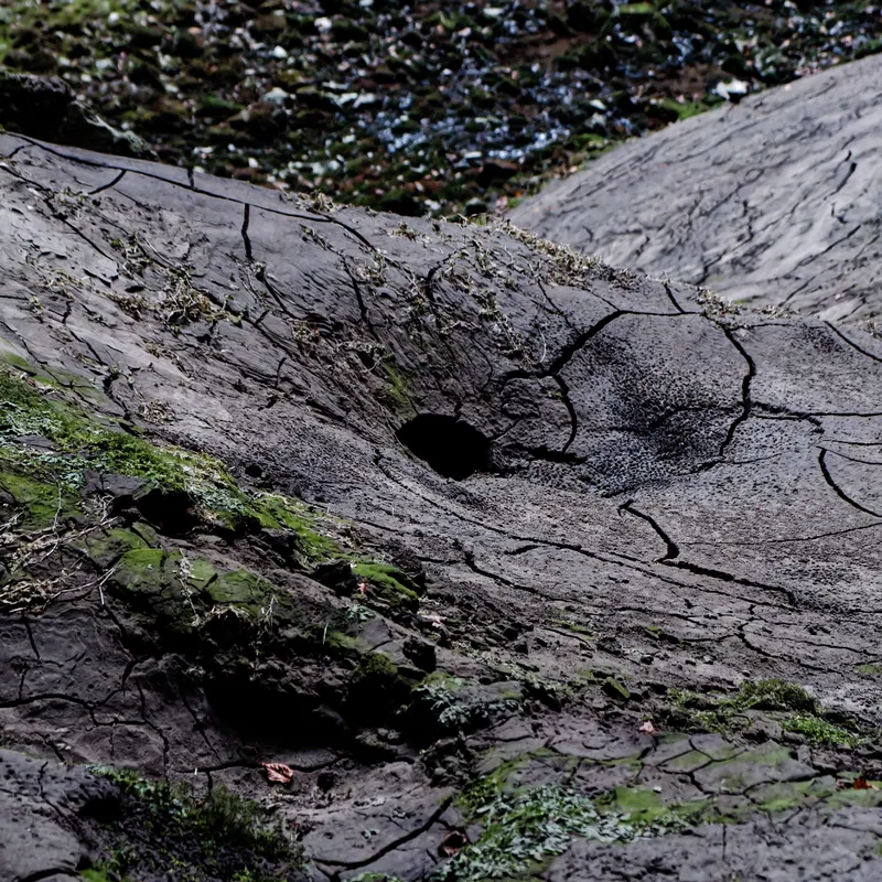 gallery image - _DSF2010.jpg