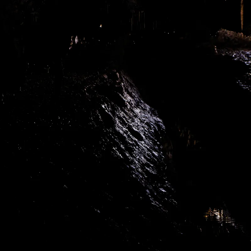 gallery image - _DSF2031.jpg