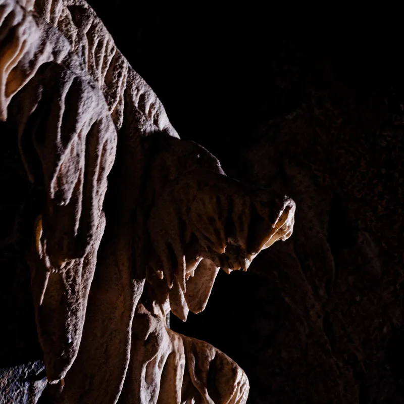 gallery image - _DSF2045.jpg