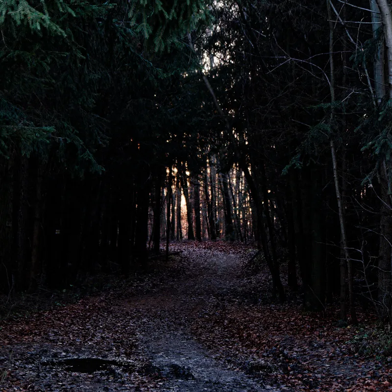 gallery image - _DSF2059.jpg