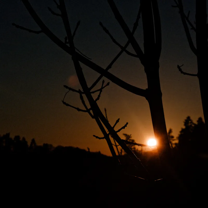 gallery image - _DSF2061.jpg