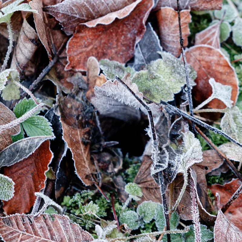 gallery image - _DSF2064.jpg