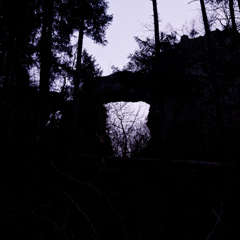 gallery image - _DSF2070.jpg